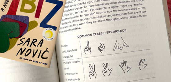 Brittney Castle Illustrations in American Sign Language for Sara Novic Book True Biz